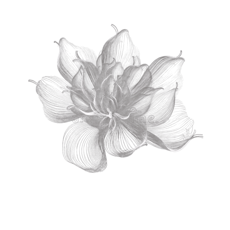 Flor decorativa